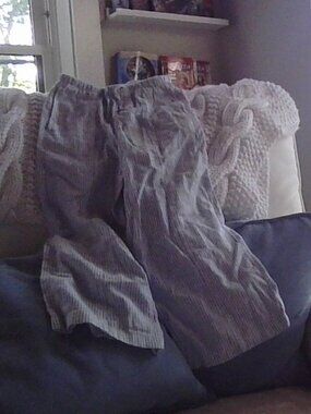 blue and white striped pants